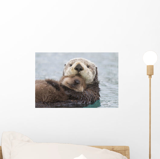 Female Sea Otter Holding Newborn Pup Out Of Water Wall Mural