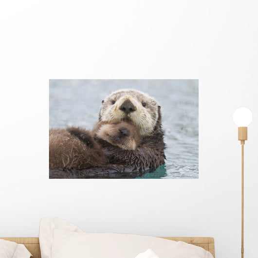 Female Sea Otter Holding Newborn Pup Out Of Water Wall Mural