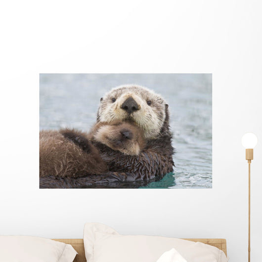 Female Sea Otter Holding Newborn Pup Out Of Water Wall Mural