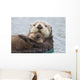 Female Sea Otter Holding Newborn Pup Out Of Water Wall Mural