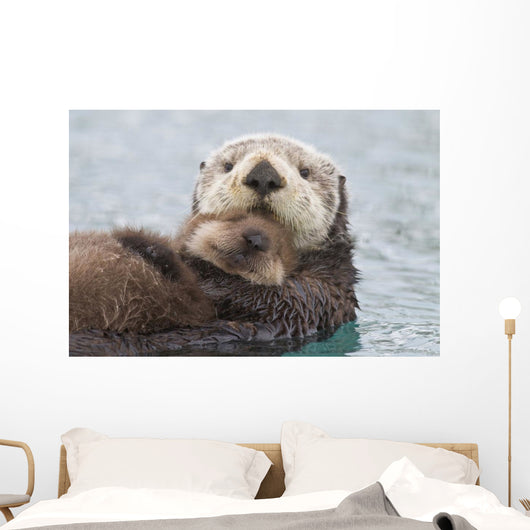 Female Sea Otter Holding Newborn Pup Out Of Water Wall Mural