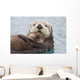 Female Sea Otter Holding Newborn Pup Out Of Water Wall Mural