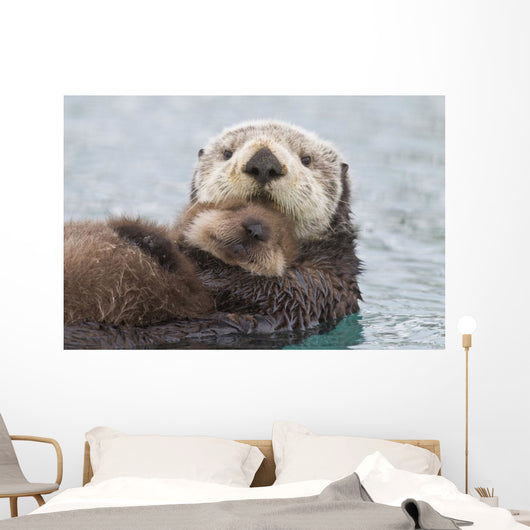 Female Sea Otter Holding Newborn Pup Out Of Water Wall Mural