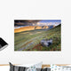 Rock And Alpine Tundra Wall Mural