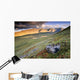 Rock And Alpine Tundra Wall Mural