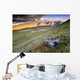 Rock And Alpine Tundra Wall Mural