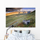 Rock And Alpine Tundra Wall Mural