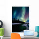 Northern Lights Over Portage River Valley Sc Alaska Wall Mural