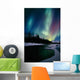 Northern Lights Over Portage River Valley Sc Alaska Wall Mural