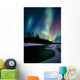 Northern Lights Over Portage River Valley Sc Alaska Wall Mural