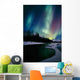 Northern Lights Over Portage River Valley Sc Alaska Wall Mural