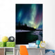 Northern Lights Over Portage River Valley Sc Alaska Wall Mural