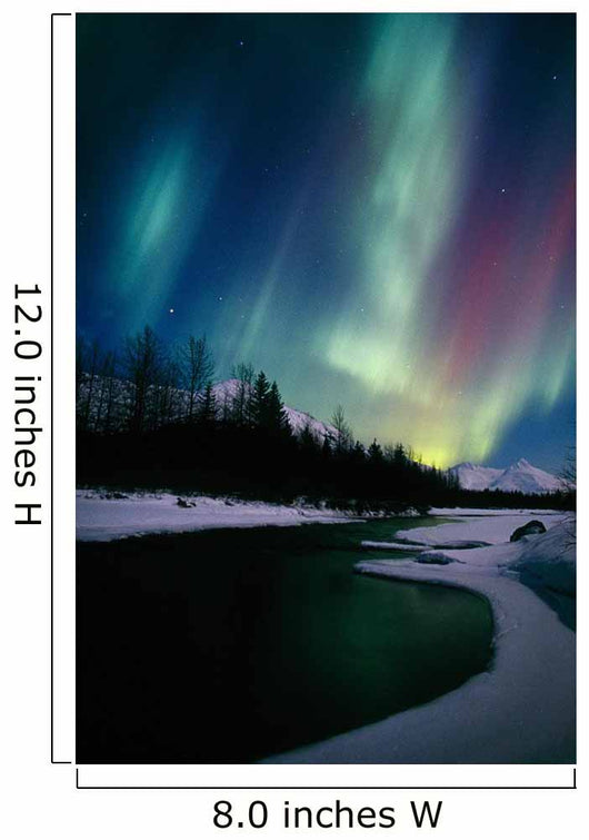 Northern Lights Over Portage River Valley Sc Alaska Wall Mural