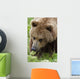 Close Up Of Brown Bear Eating Grasses In Hallo Bay Wall Mural