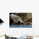 Harbor Seal Rests On The Rocky Shore Of Kukak Bay Wall Mural