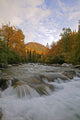 Little Susitna River At The Start Of The Hatchers Pass Road Wall Mural