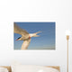 Closeup Of Arctic Tern In Flight Over Bristol Bay Wall Mural