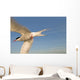 Closeup Of Arctic Tern In Flight Over Bristol Bay Wall Mural
