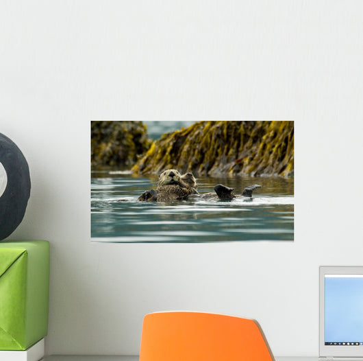 Sea Otter Floating With Pup In Orca Inlet Wall Mural