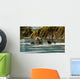 Sea Otter Floating With Pup In Orca Inlet Wall Mural
