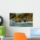 Sea Otter Floating With Pup In Orca Inlet Wall Mural