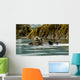 Sea Otter Floating With Pup In Orca Inlet Wall Mural