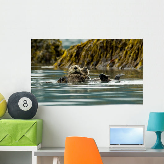 Sea Otter Floating With Pup In Orca Inlet Wall Mural