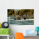Sea Otter Floating With Pup In Orca Inlet Wall Mural