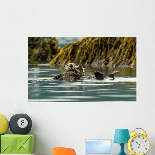 Sea Otter Floating With Pup In Orca Inlet Wall Mural