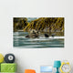 Sea Otter Floating With Pup In Orca Inlet Wall Mural
