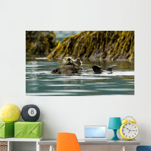 Sea Otter Floating With Pup In Orca Inlet Wall Mural