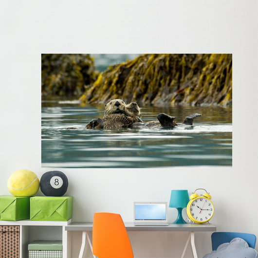 Sea Otter Floating With Pup In Orca Inlet Wall Mural