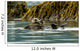 Sea Otter Floating With Pup In Orca Inlet Wall Mural