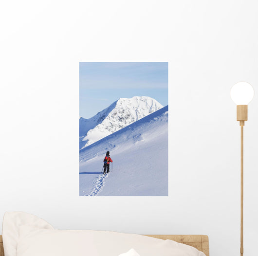 Backcountry Snowboarder Hiking Through The Snow Wall Mural