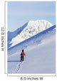 Backcountry Snowboarder Hiking Through The Snow Wall Mural