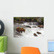 Grizzly Bears Fish At Brooks Falls In Katmai National Park, Alaska Wall Mural