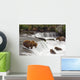 Grizzly Bears Fish At Brooks Falls In Katmai National Park, Alaska Wall Mural