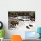 Grizzly Bears Fish At Brooks Falls In Katmai National Park, Alaska Wall Mural