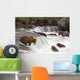 Grizzly Bears Fish At Brooks Falls In Katmai National Park, Alaska Wall Mural