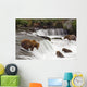 Grizzly Bears Fish At Brooks Falls In Katmai National Park, Alaska Wall Mural