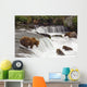 Grizzly Bears Fish At Brooks Falls In Katmai National Park, Alaska Wall Mural