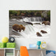 Grizzly Bears Fish At Brooks Falls In Katmai National Park, Alaska Wall Mural