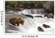 Grizzly Bears Fish At Brooks Falls In Katmai National Park, Alaska Wall Mural