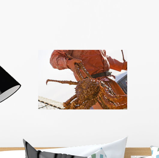 Crab Fisherman Carries A Brown Crab Wall Mural