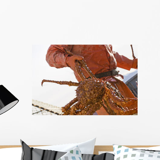Crab Fisherman Carries A Brown Crab Wall Mural