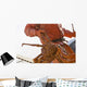 Crab Fisherman Carries A Brown Crab Wall Mural