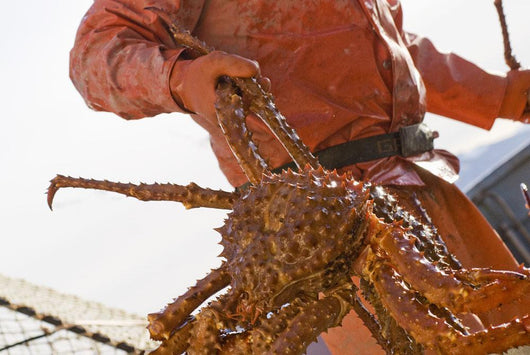 Crab Fisherman Carries A Brown Crab Wall Mural