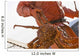 Crab Fisherman Carries A Brown Crab Wall Mural