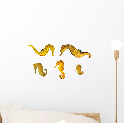 Yellow Seahorses Wall Decal Sticker Set