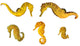 Yellow Seahorses Wall Decal Sticker Set